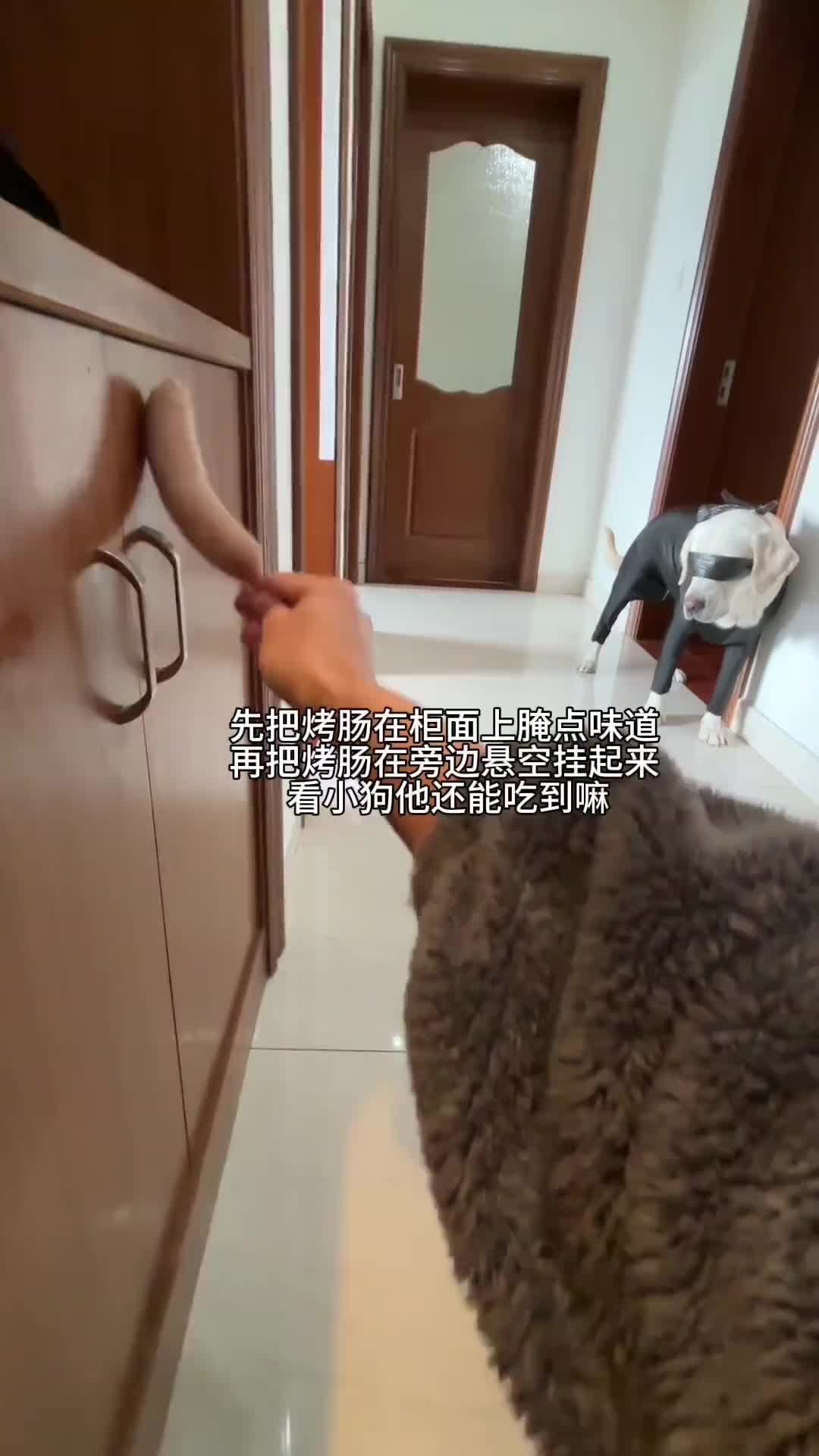 什么条件家里还有蒸汽火车