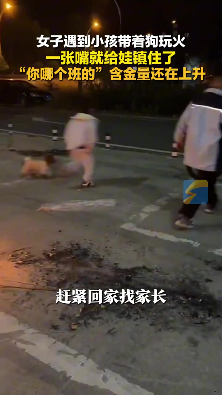 女子遇到小孩带着狗玩火，一张嘴就给娃镇住了