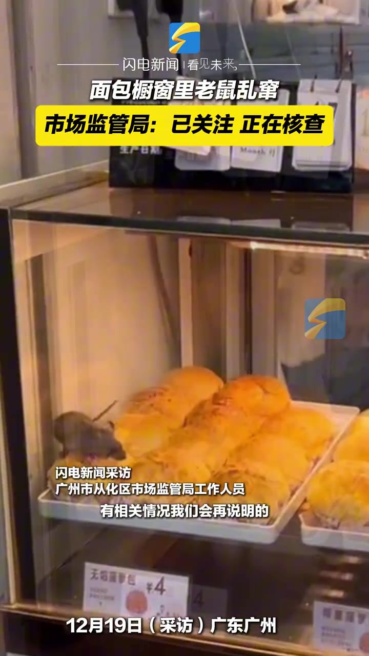 面包橱窗内里老鼠乱窜，这也太恶心了！