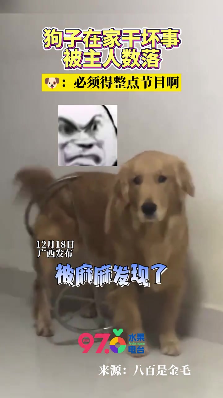 鸡毛：没点节目怎么过年