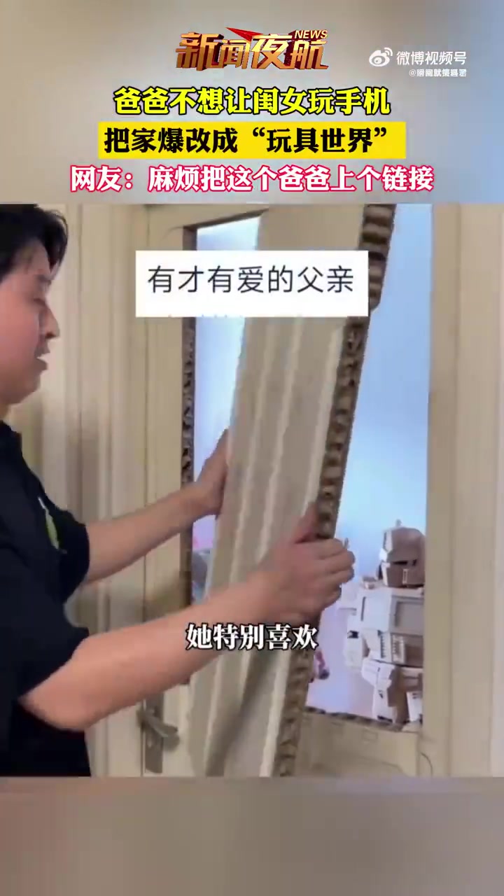 爸爸把家爆改成“玩具世界”，网友求上链接