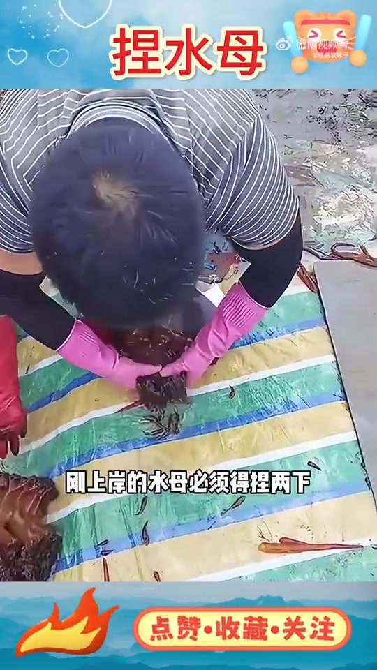 为什么上来要捏两下探寻美食奥秘