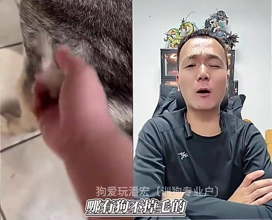 潘虹鉴别犬经典场面潘子训练犬精彩瞬间！