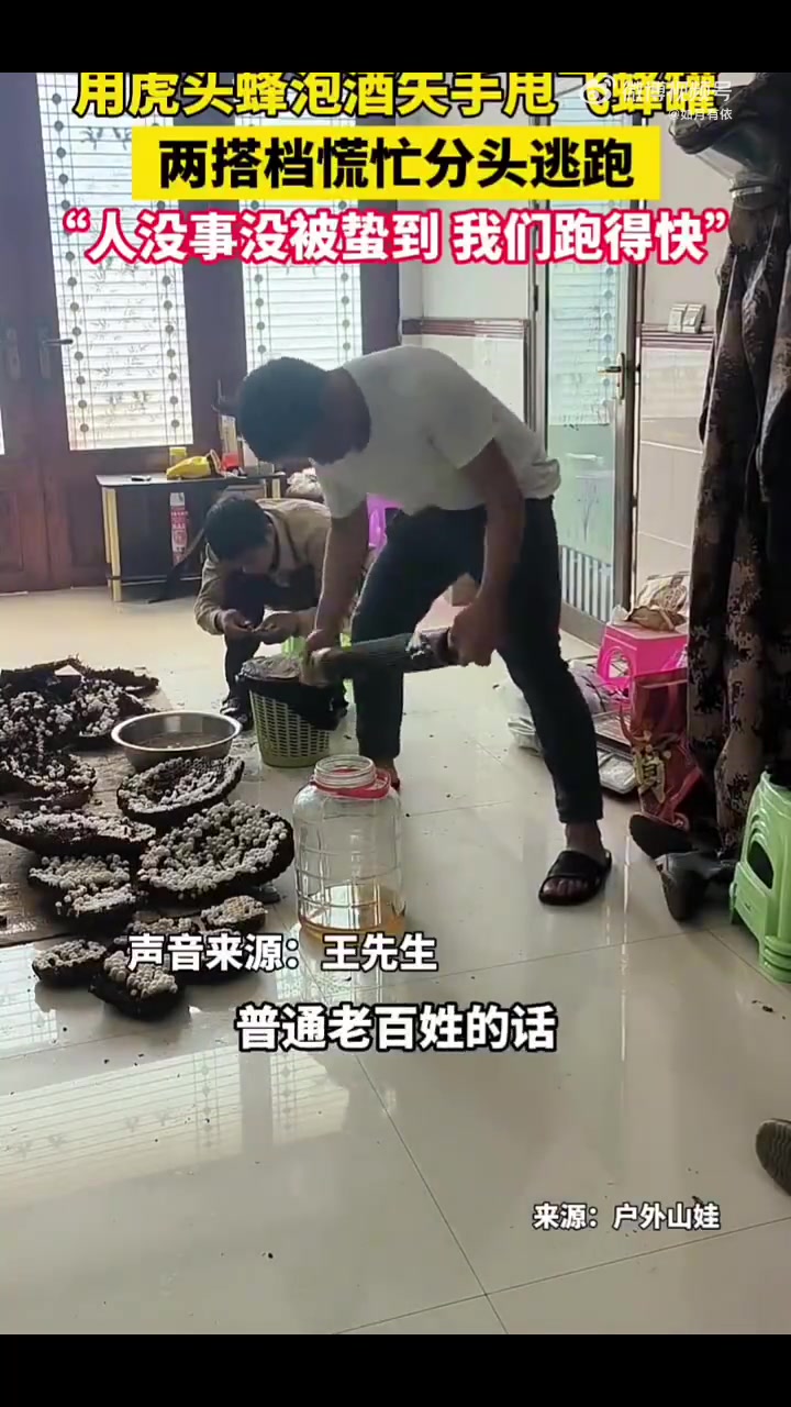 用虎头蜂泡酒失手甩飞蜂罐，两搭档慌忙分头逃跑！