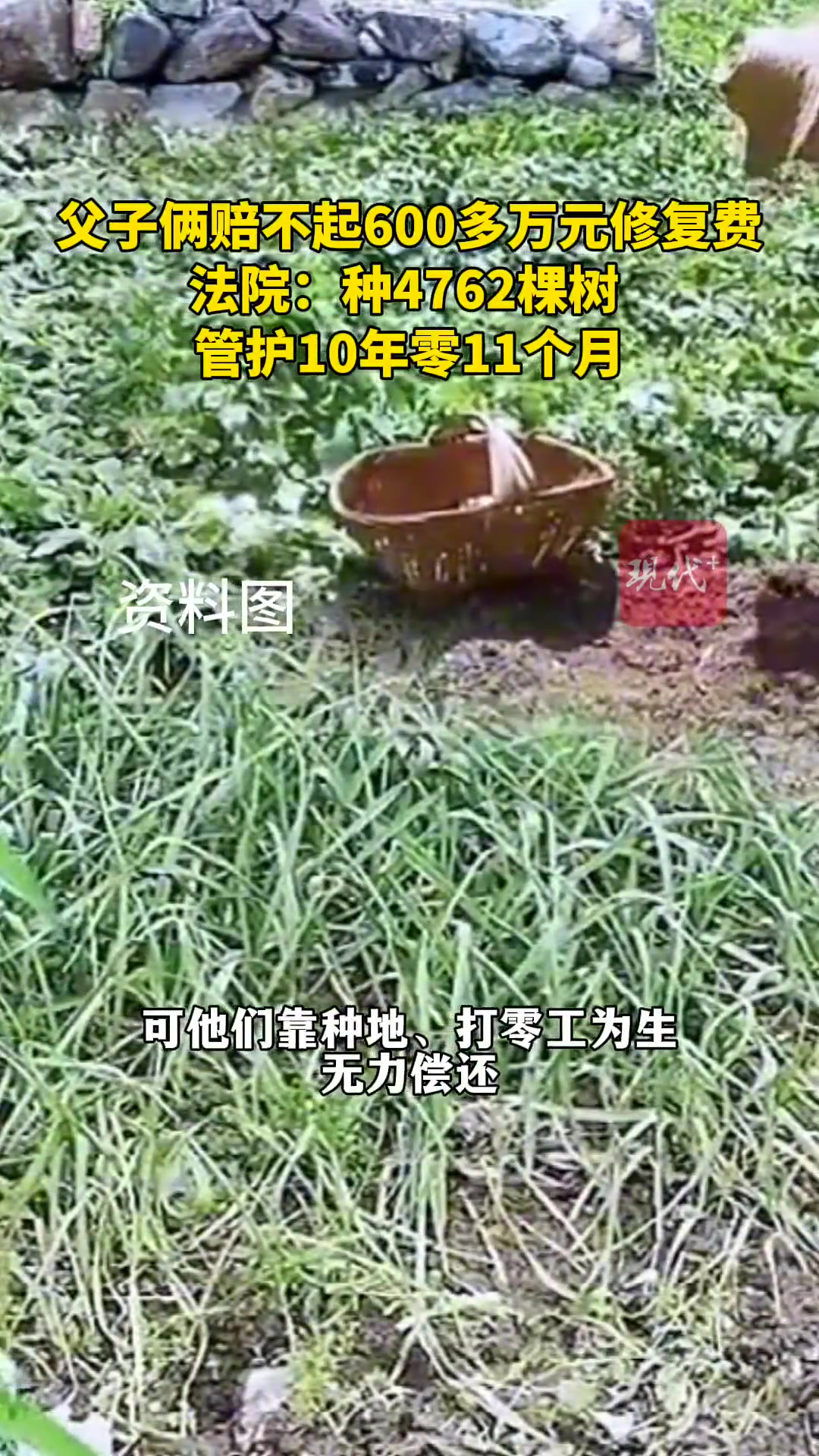 这种方式挺好的惩罚不是为了带来负担而是为了引以为戒为生态文明