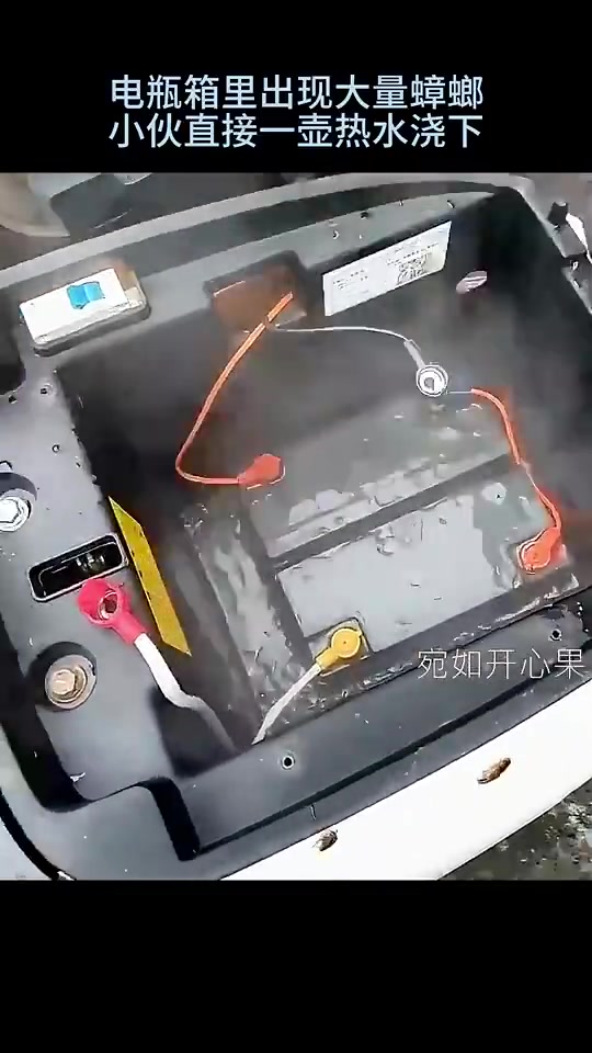 逆天！电瓶箱里出现大量蟑螂，小伙直接一壶热水浇下！