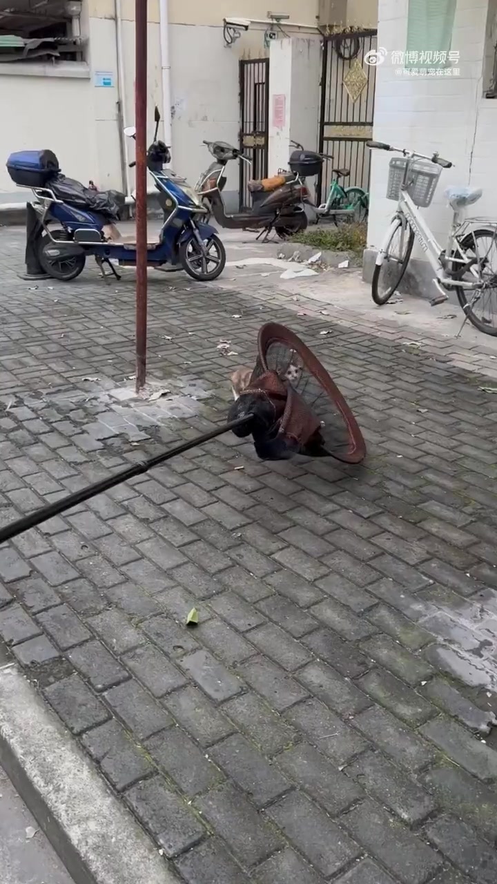 顶级钓鱼执法！曝光！