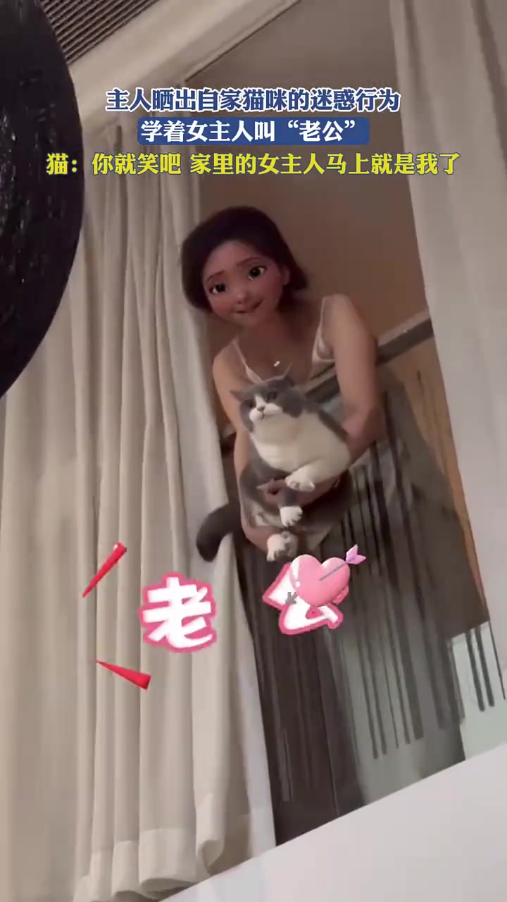 主人晒出自家猫咪的迷惑行为，学着女主人叫“老公”猫：你就笑吧