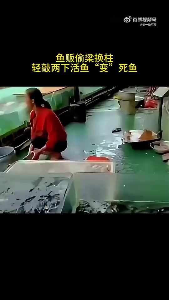 鱼贩偷梁换柱轻敲两下，活鱼“变”S鱼！