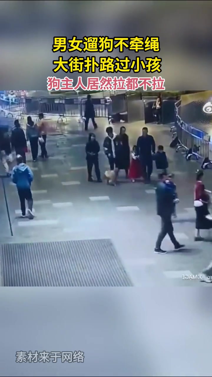 男女遛狗不牵绳，大街上扑路过小孩，狗主人居然拉都不拉！！！