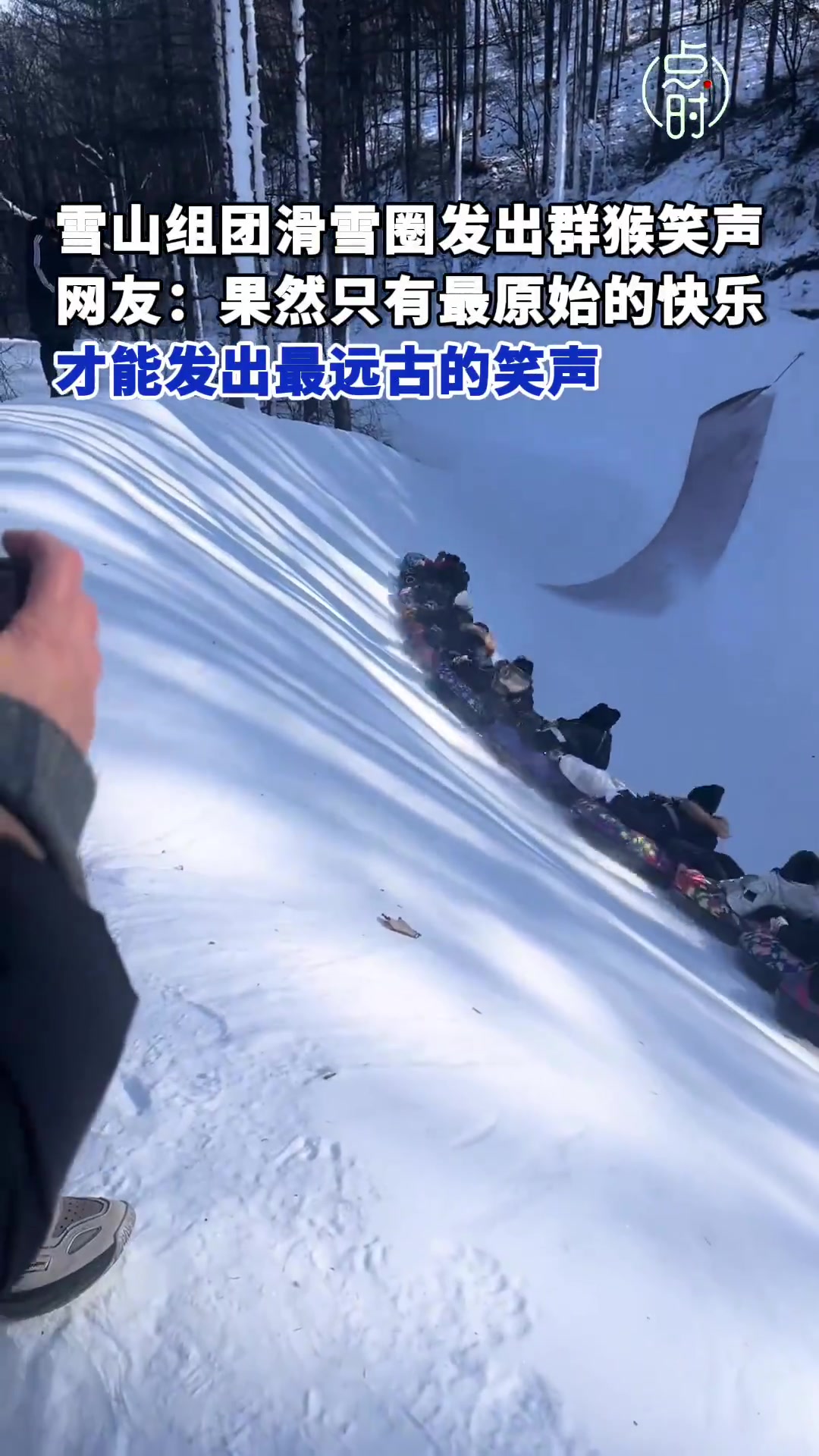 雪山组团滑雪圈发出群猴笑声