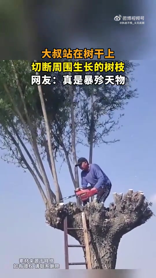 大叔站在树干上，切断周围生长的树枝