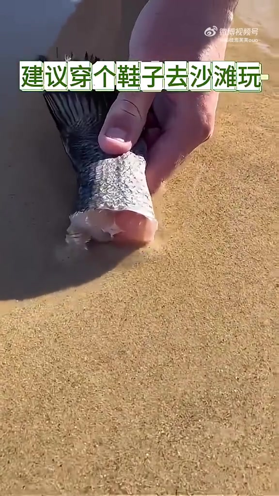 建议穿个鞋去沙滩玩