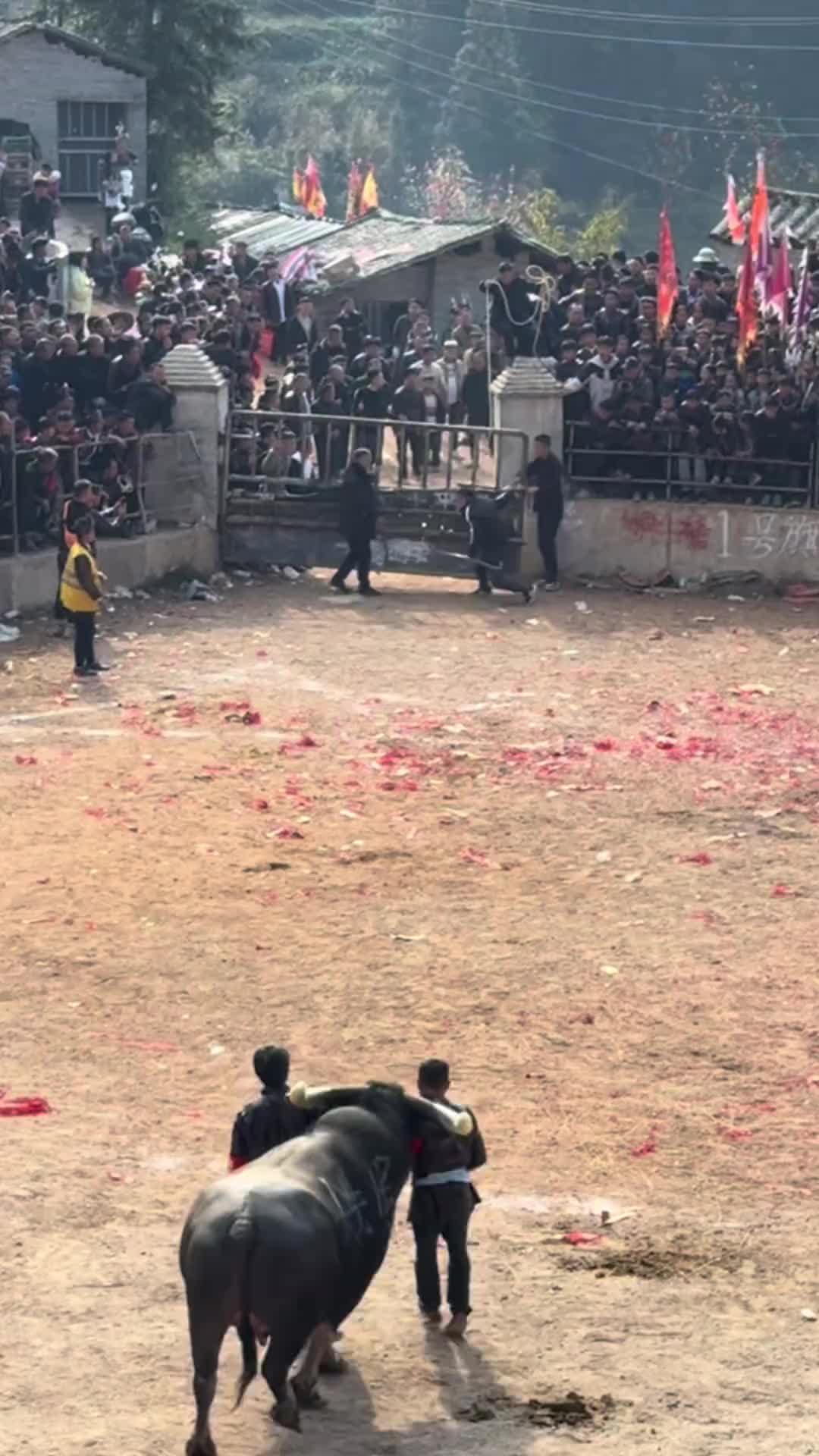 不是啊，下面一头牛一开始就啥也不知道好像