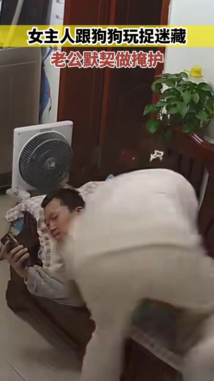 女主人跟狗狗玩捉迷藏老公默契做掩护