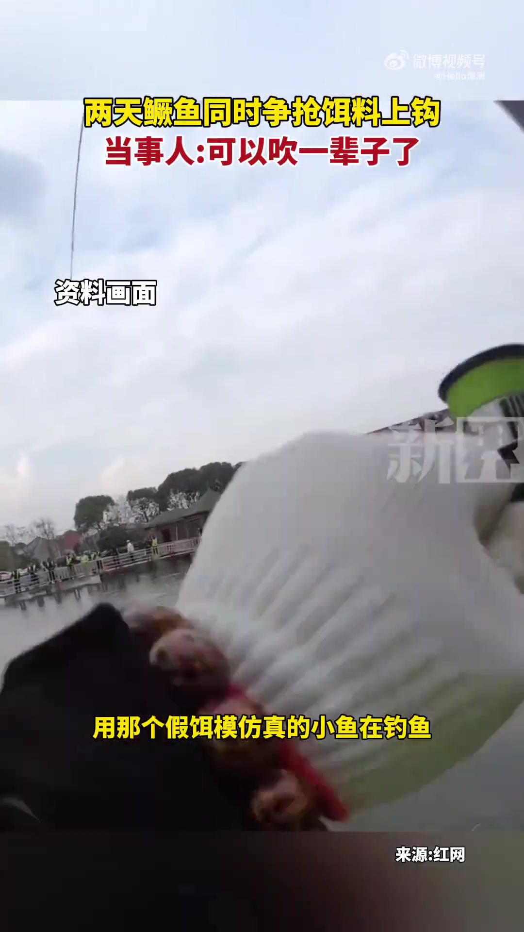 两天鳜鱼同时争抢饵料上钩，当事人：可以吹一辈子了