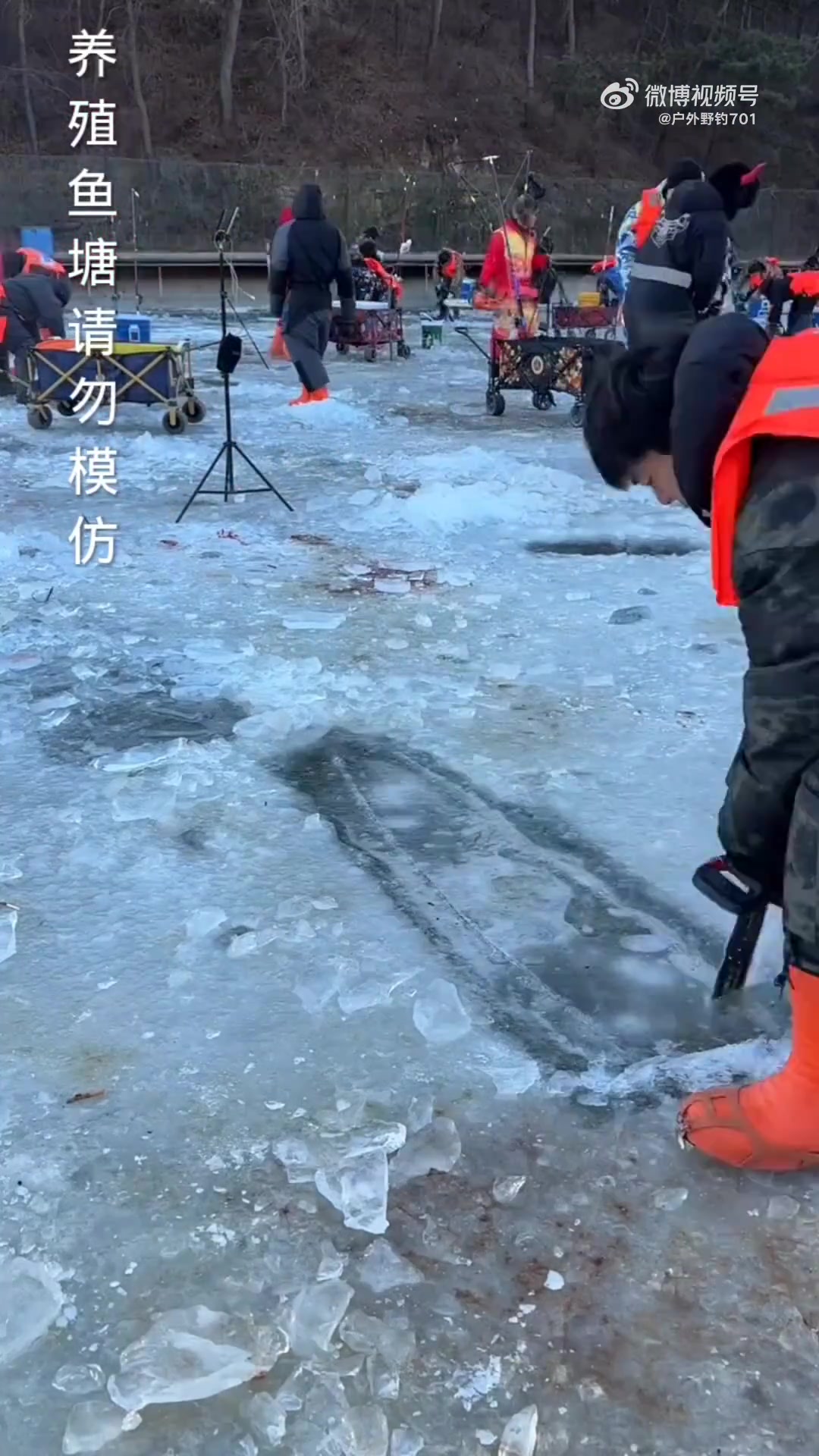 抢鱼开始！目标紧迫，任务繁重