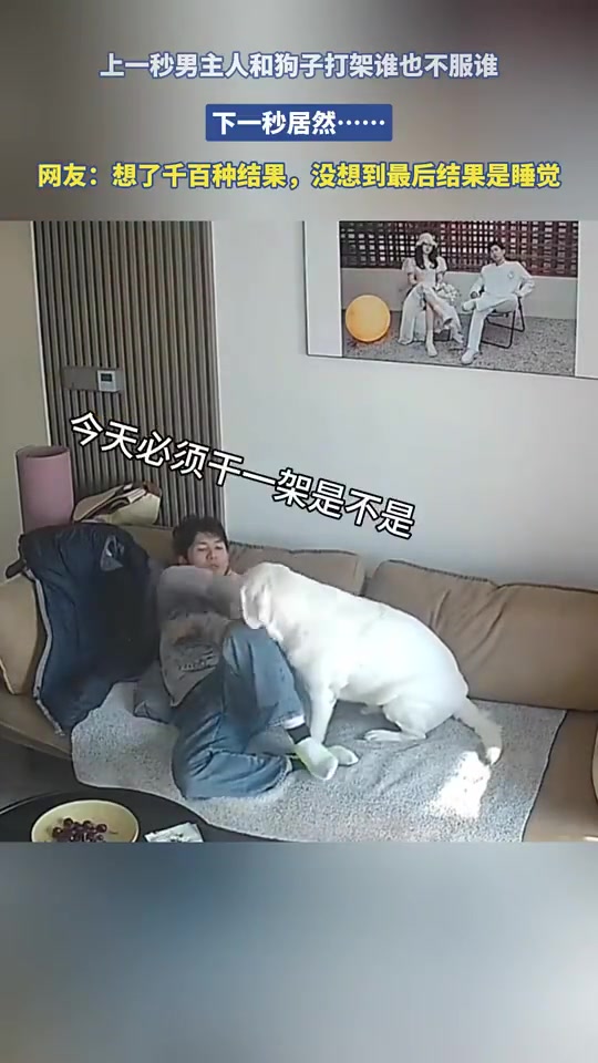 上一秒男主人和狗子打架谁也不服谁，下一秒居然