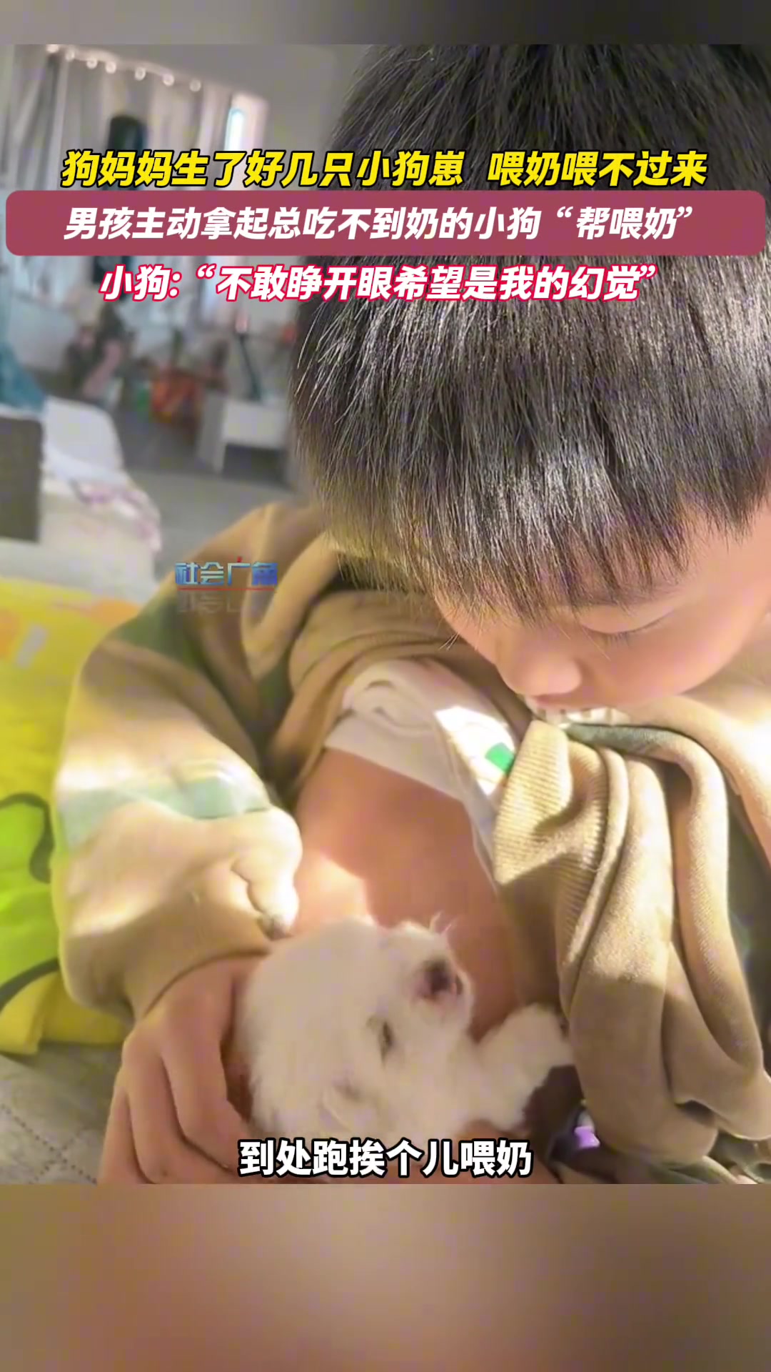 小狗好歹嘬两口，不要寒了孩子的心