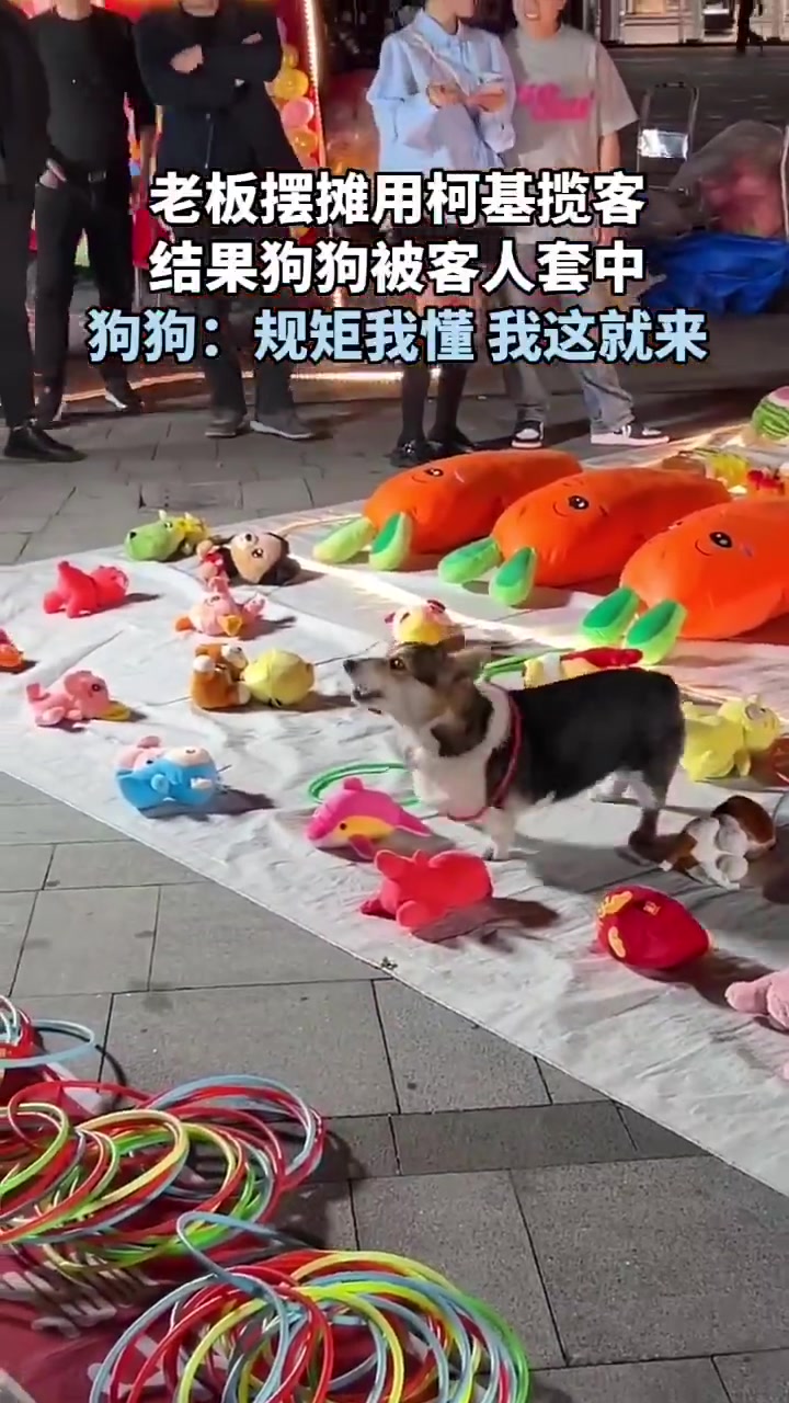 客官规矩我懂，我这就来！