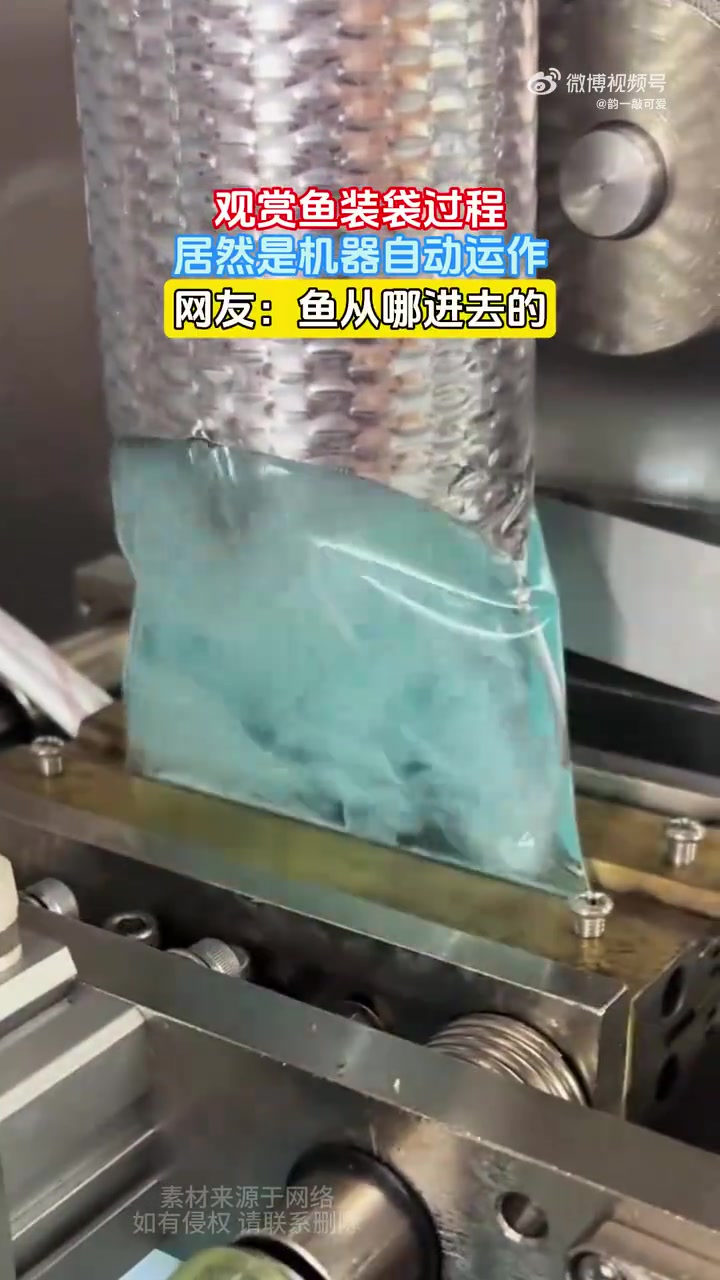 观赏鱼装袋过程，居然是机器自动运作！网友：鱼从哪进去的！