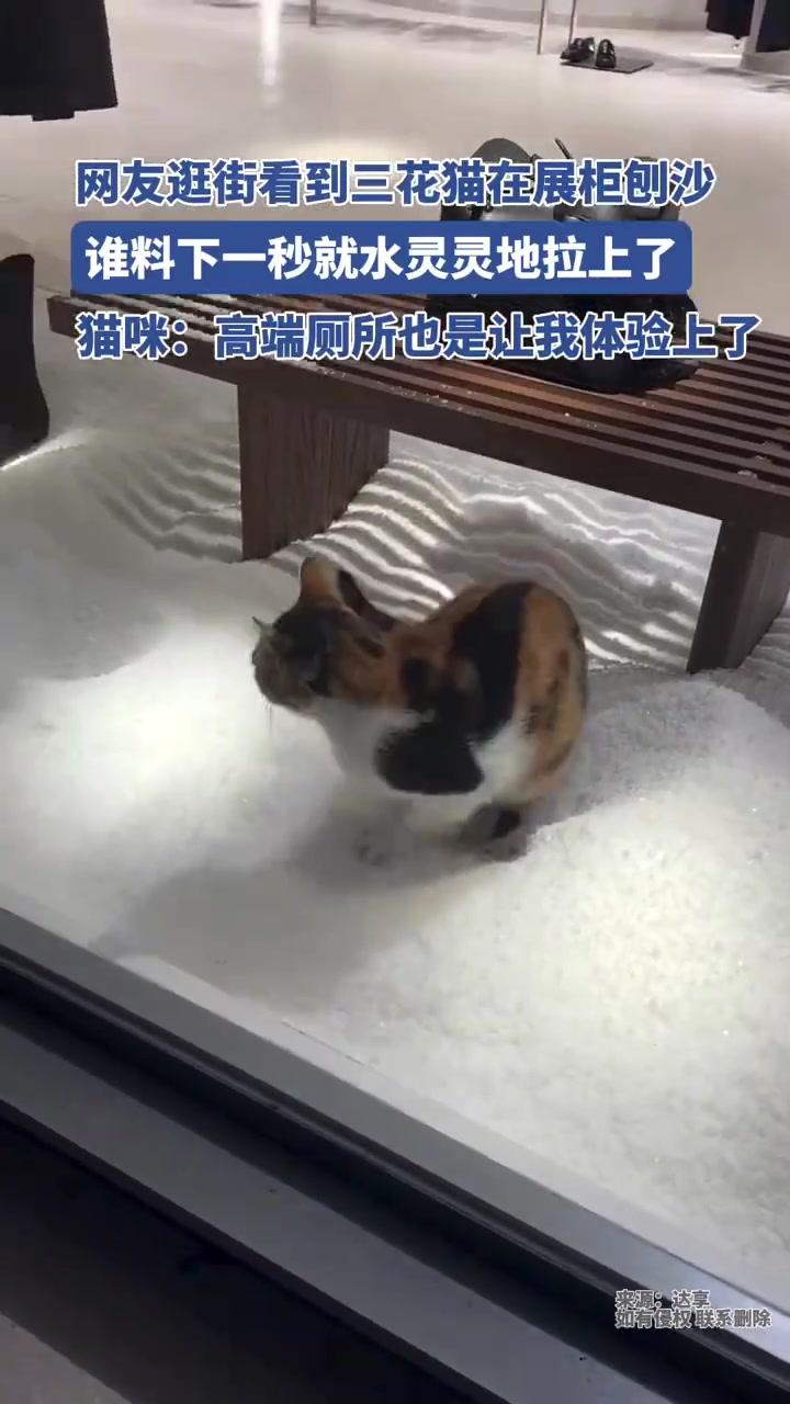 管你贵不贵，都是我的厕所！