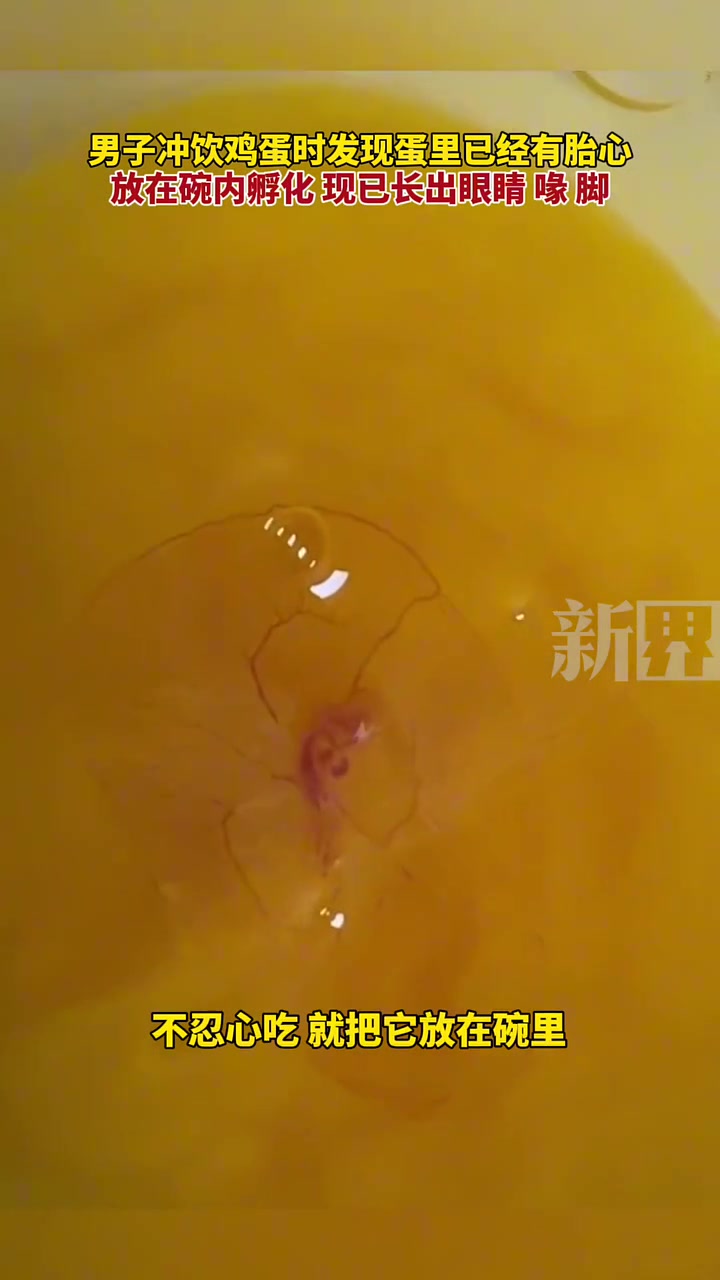 男子冲饮鸡蛋时发现蛋里已有胎心，网友：太神奇了等一个后续！