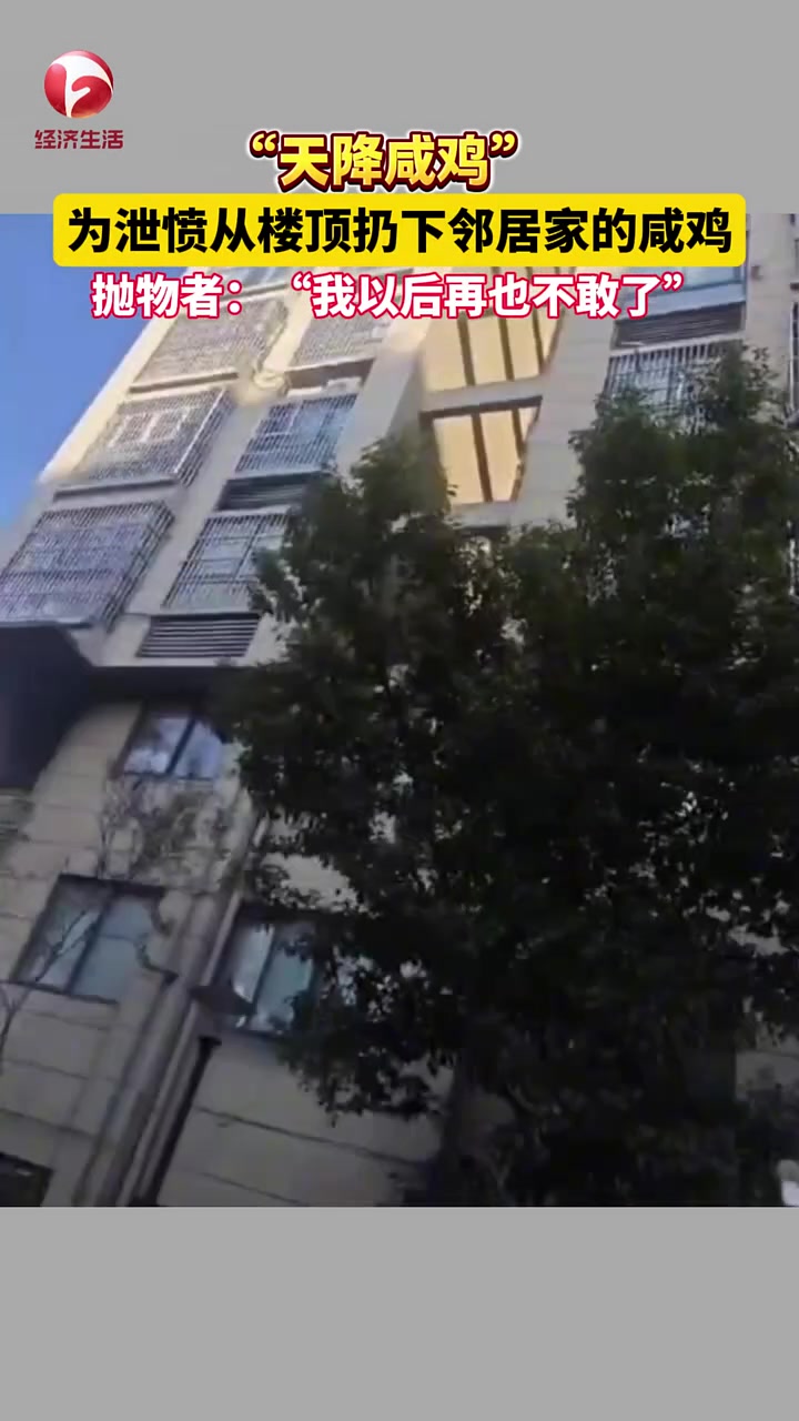 “天降咸鸡”！女子为泄愤将几只咸鸡从楼顶扔下砸坏汽车！
