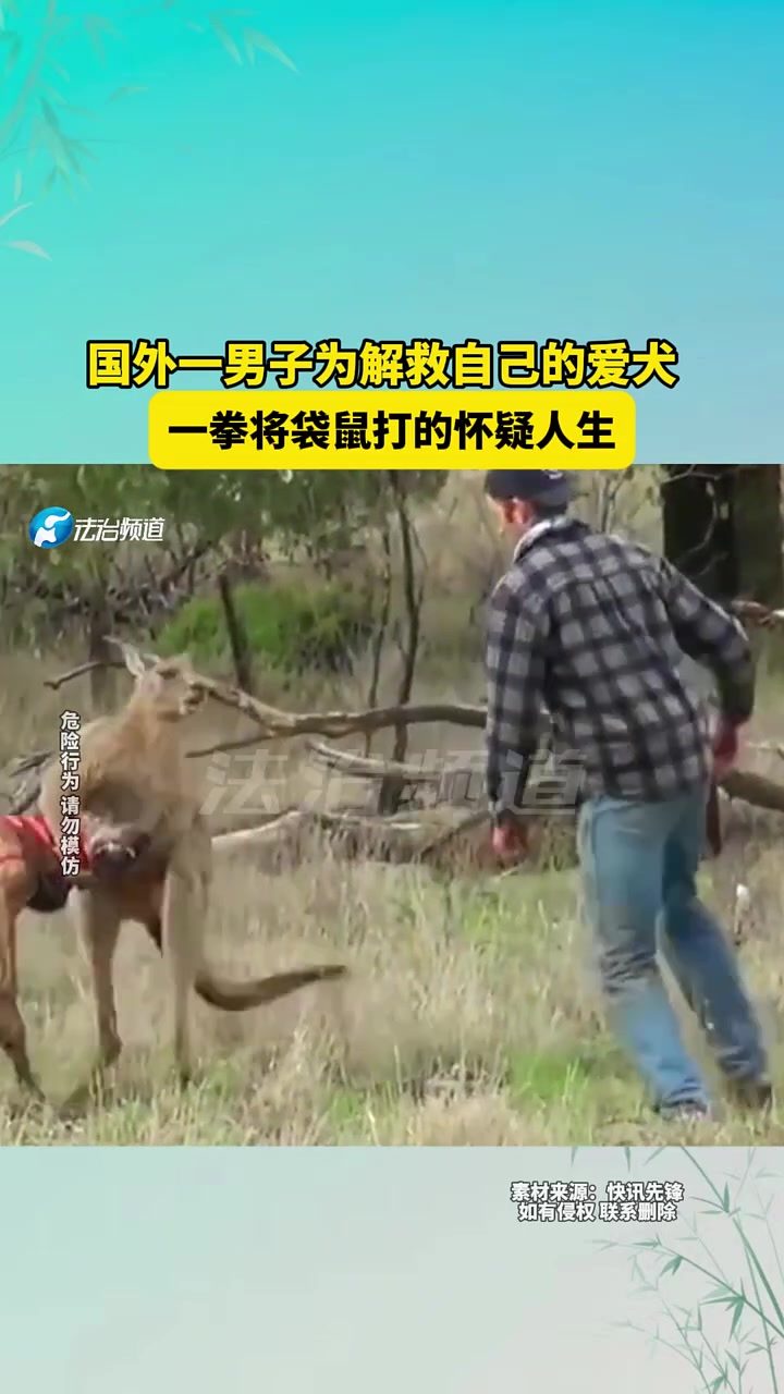 国外一男子为解救自己的爱犬，一拳将袋鼠打的怀疑人生！