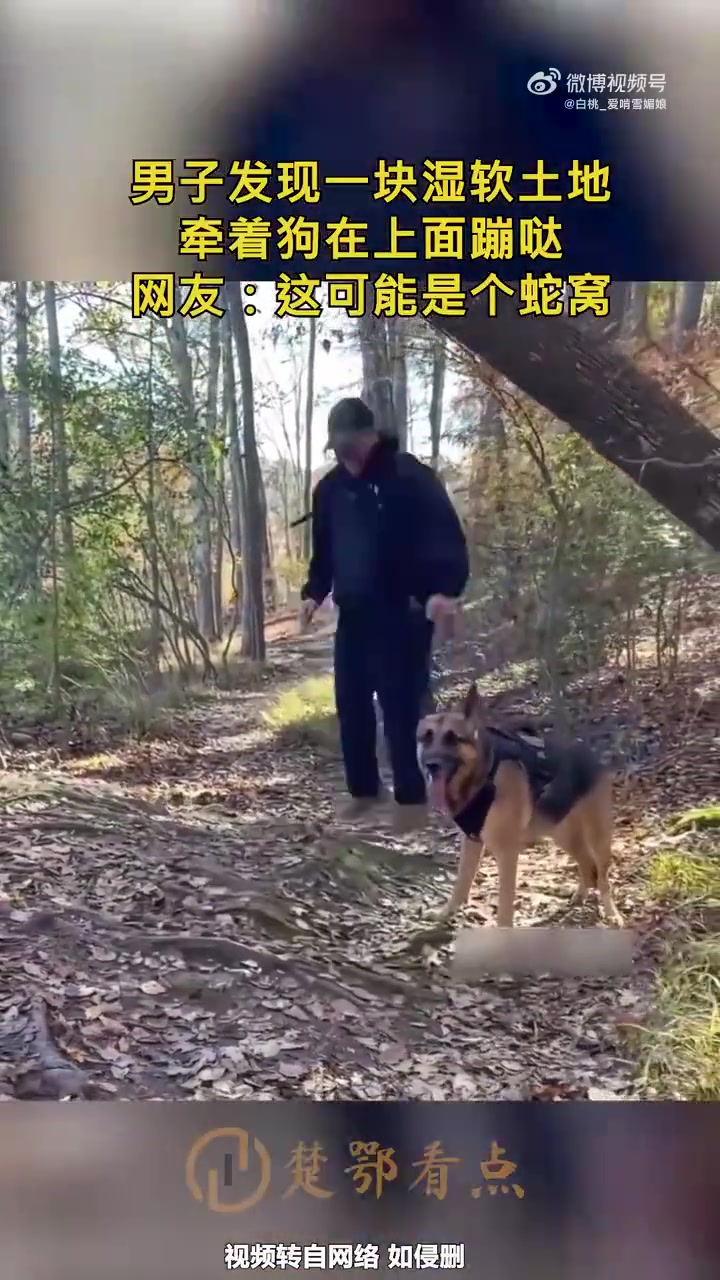 男子牵狗在湿软土地蹦跶，网友：可能是蛇窝