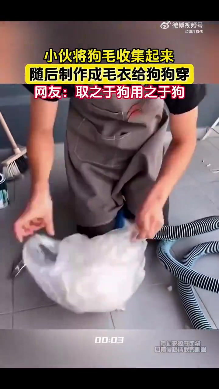 小伙将狗毛收集起来，随后制作成毛衣给狗狗穿