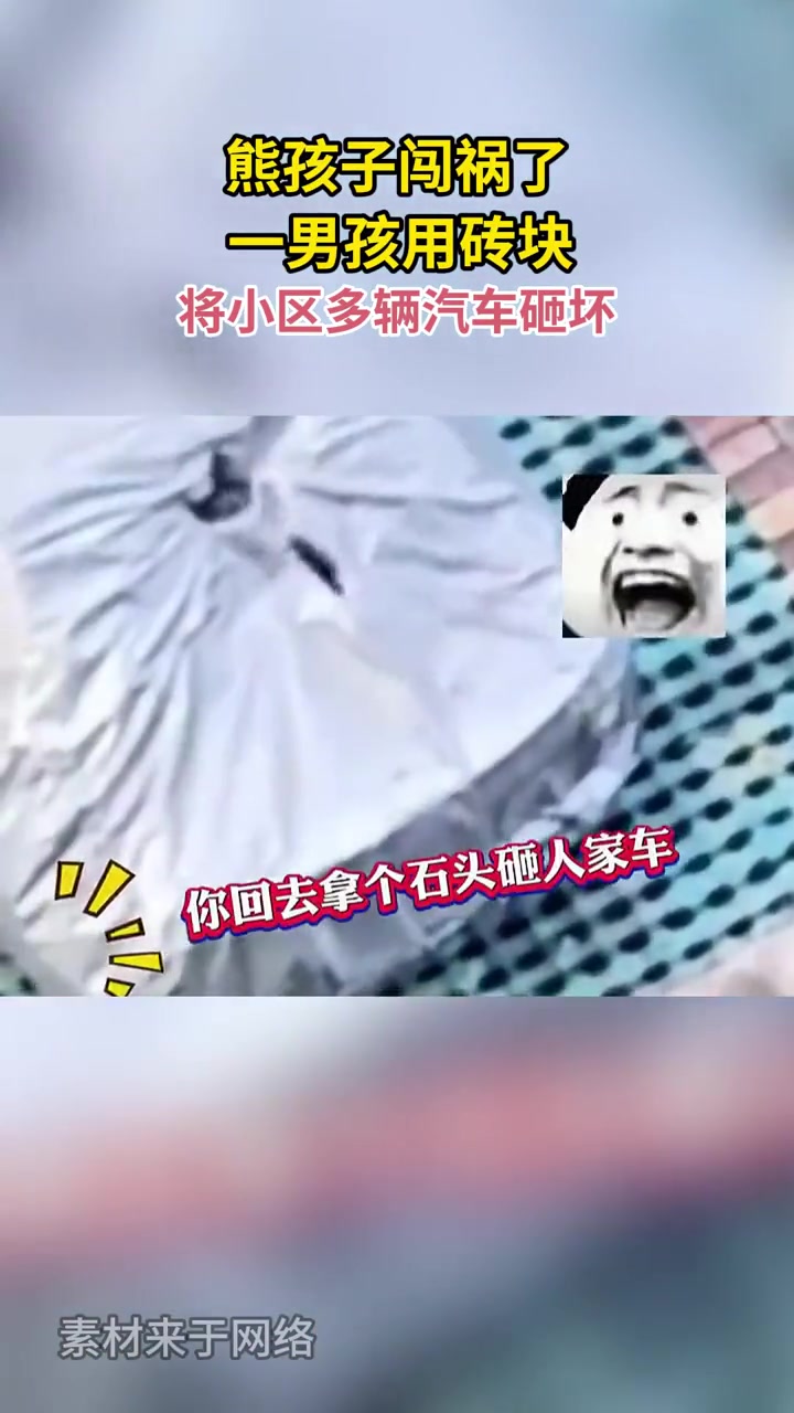 熊孩子闯祸了，一男孩用砖块将小区多辆汽车砸坏！