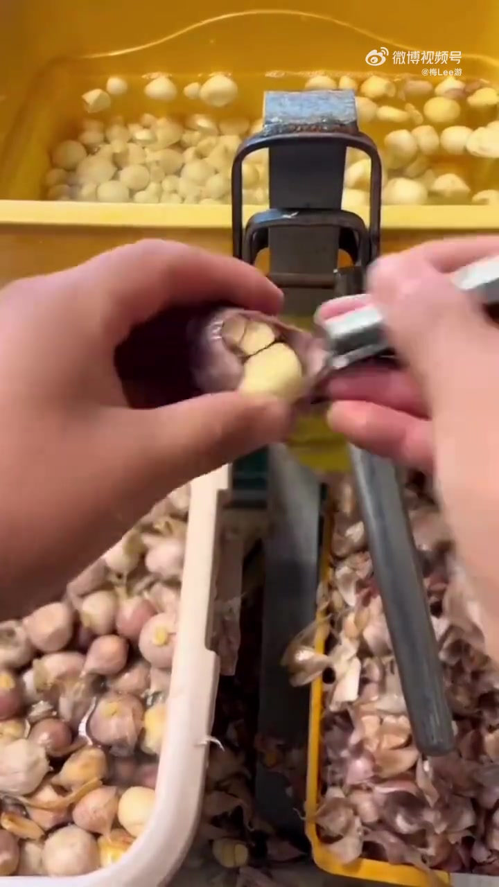 剥蒜神器，看着真的很好用
