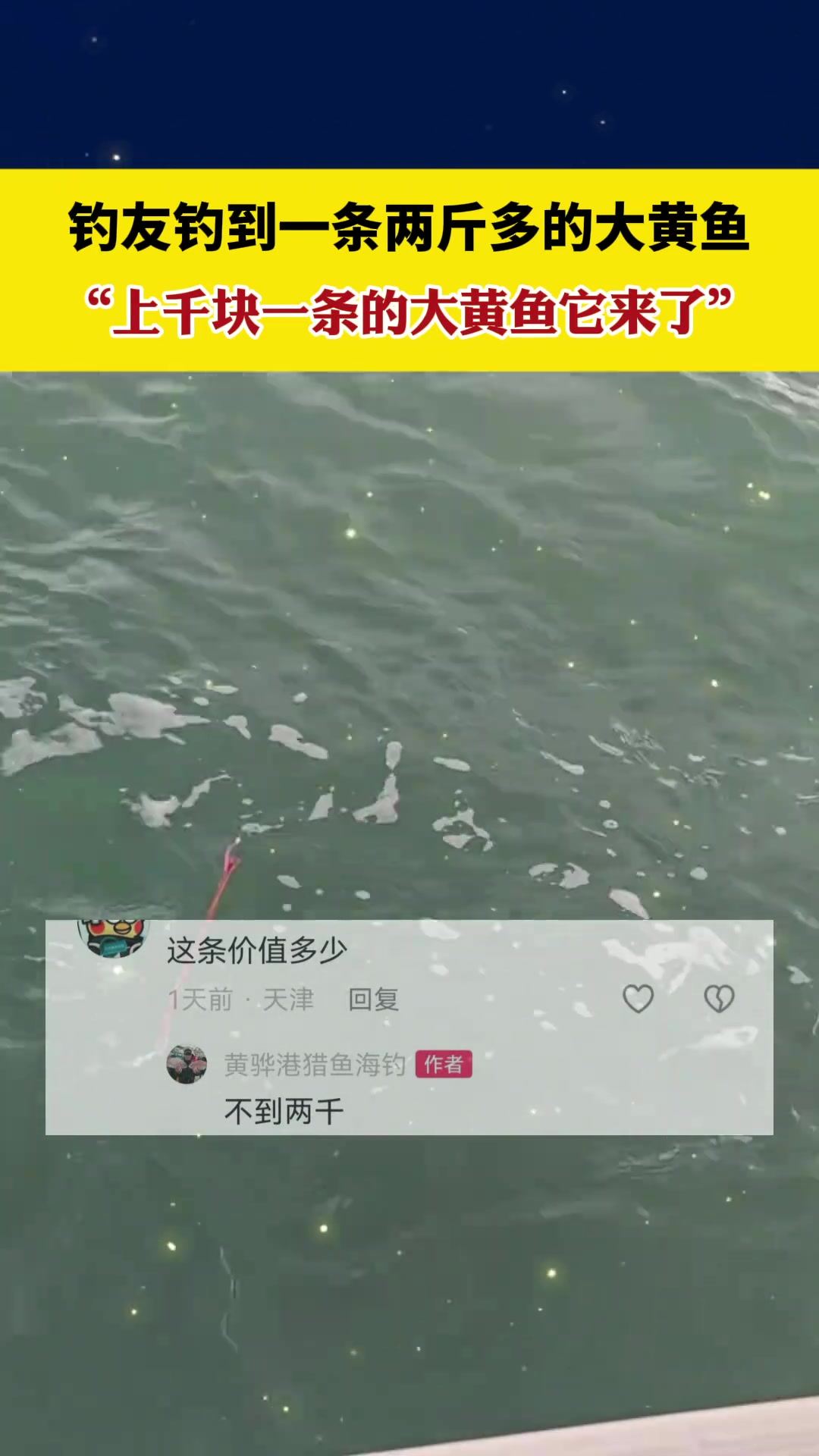 上千块一条的大黄鱼它来了