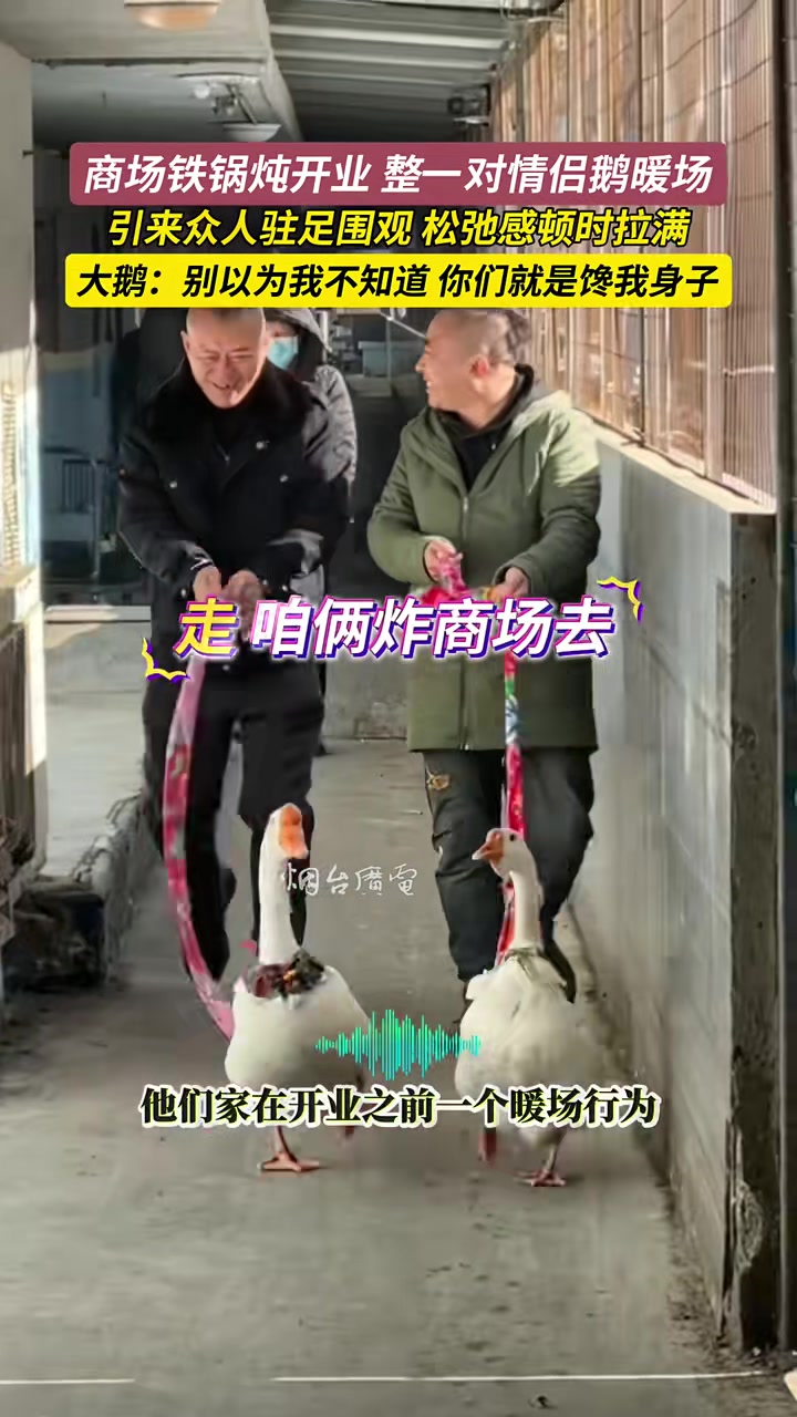 商场铁锅炖开业，整两只情侣鹅暖场