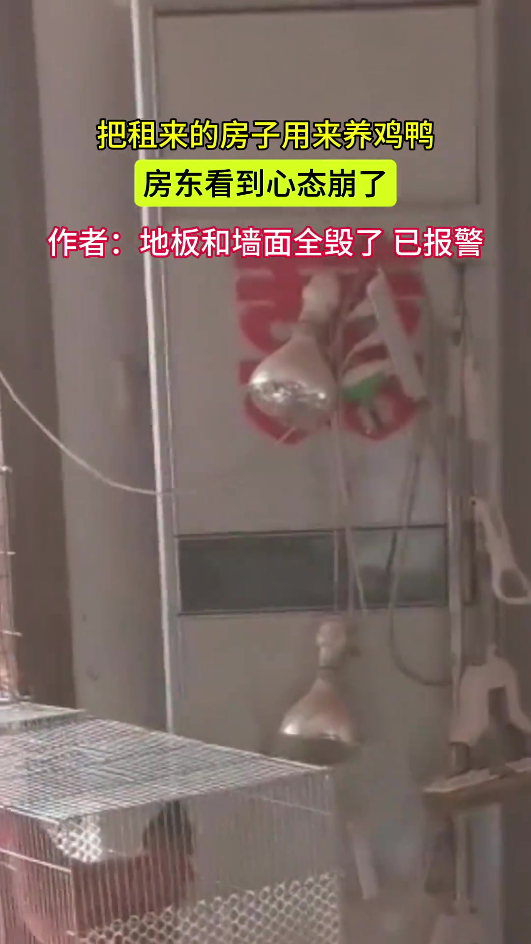 把租来的房子用来养鸡鸭房东看到心态崩了