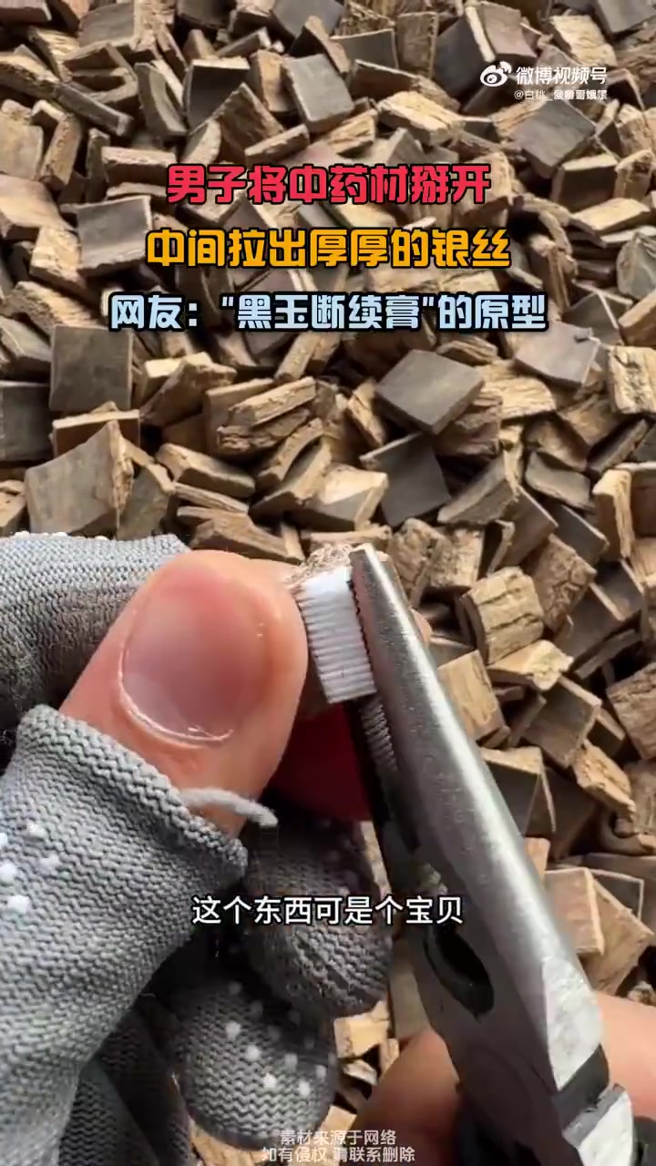 传说中黑玉断续膏的原型！