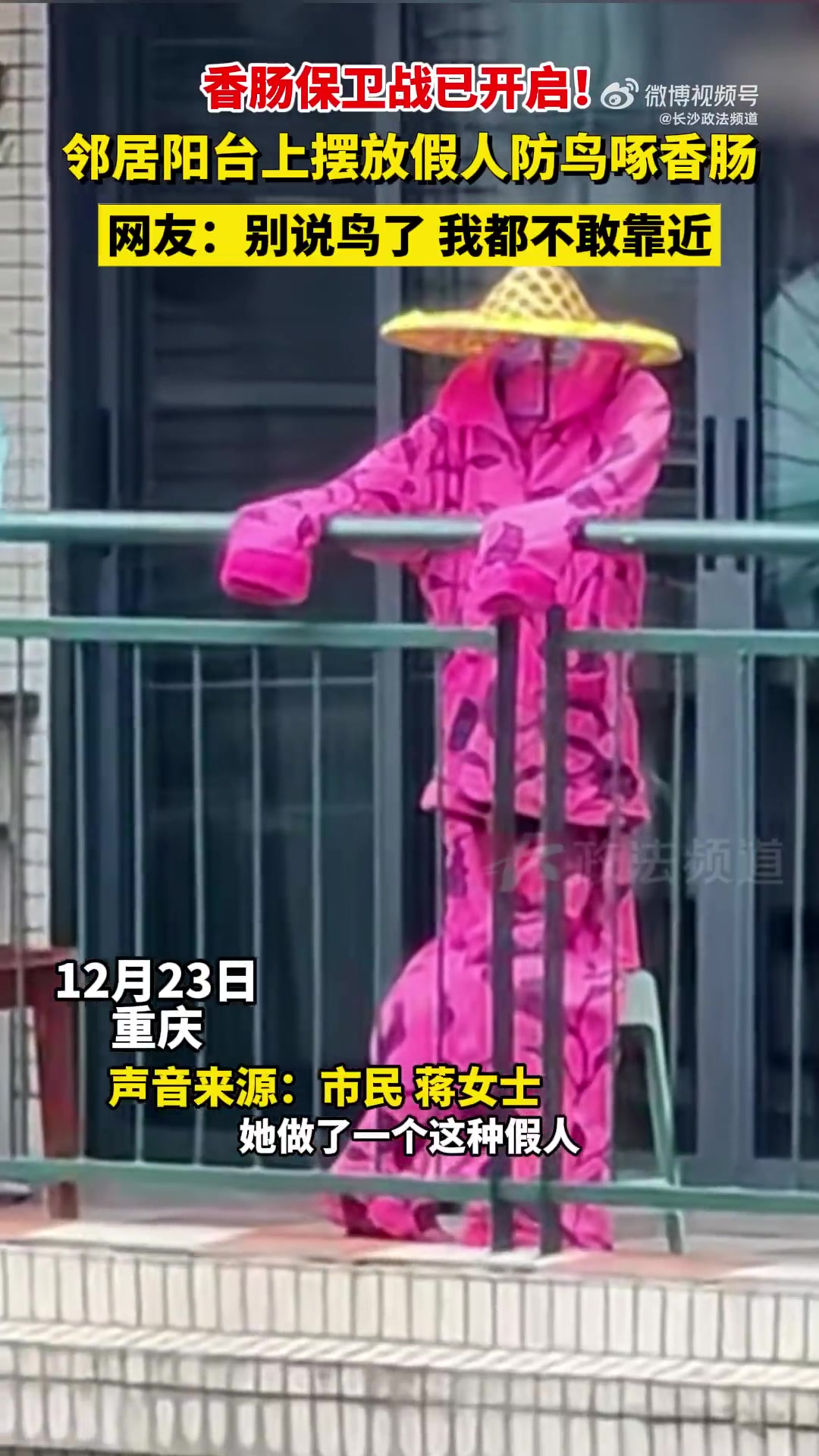 香肠保卫战已开启！邻居阳台上摆放假人防鸟啄香肠
