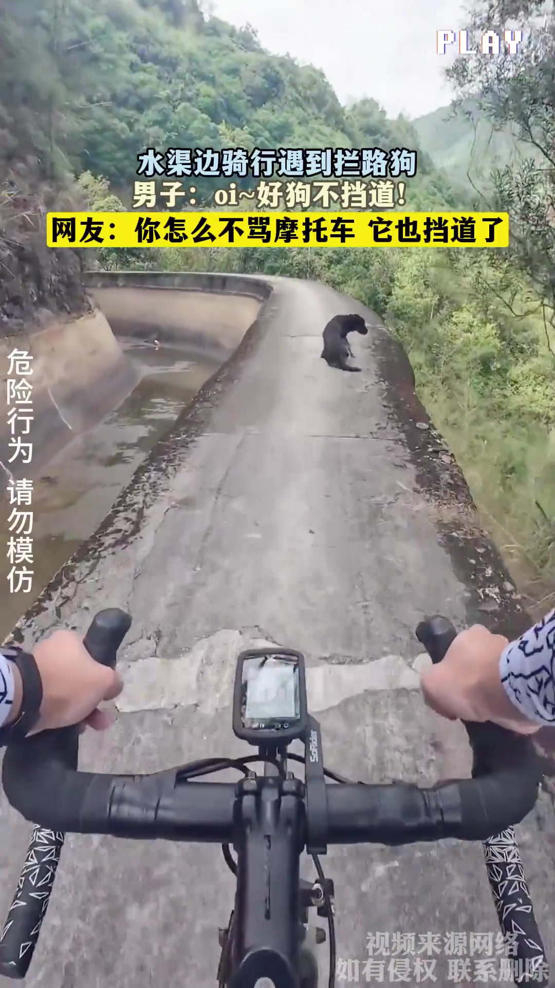 水渠边骑行遇到拦路狗