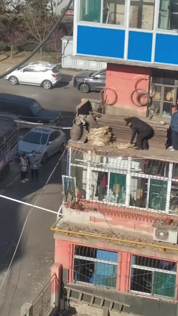 阳台塔了，幸亏没伤到人，可这个车却没躲过