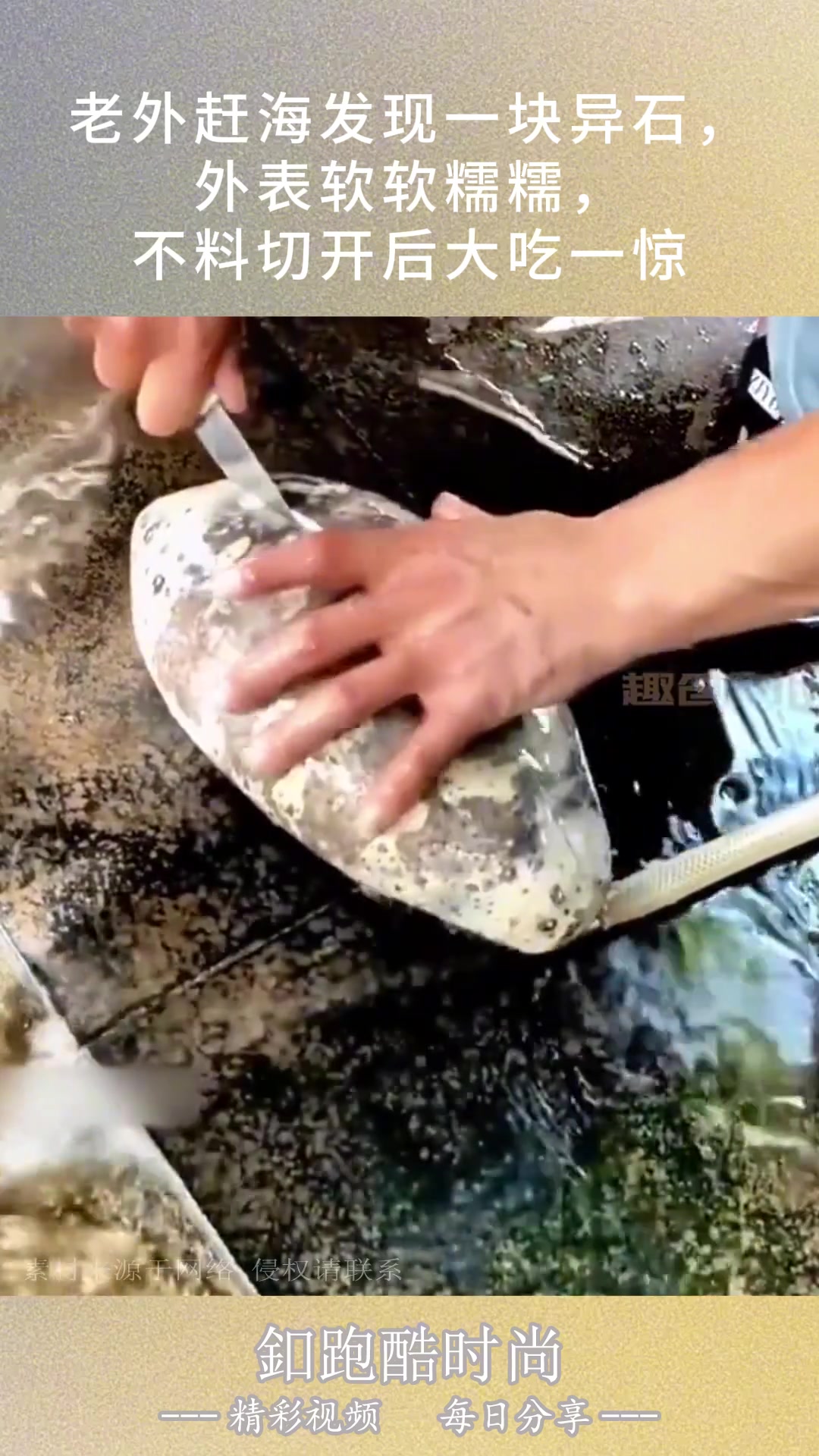 这是什么东西