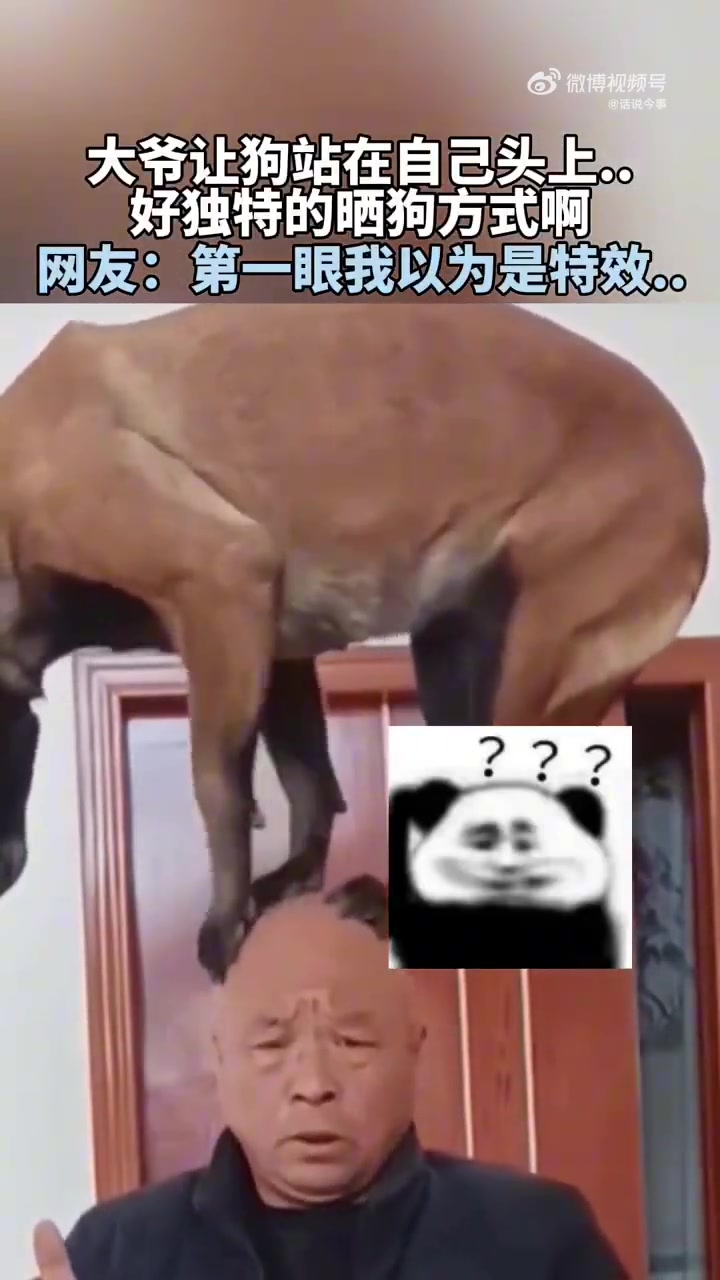 大爷你.好独特的晒狗方式