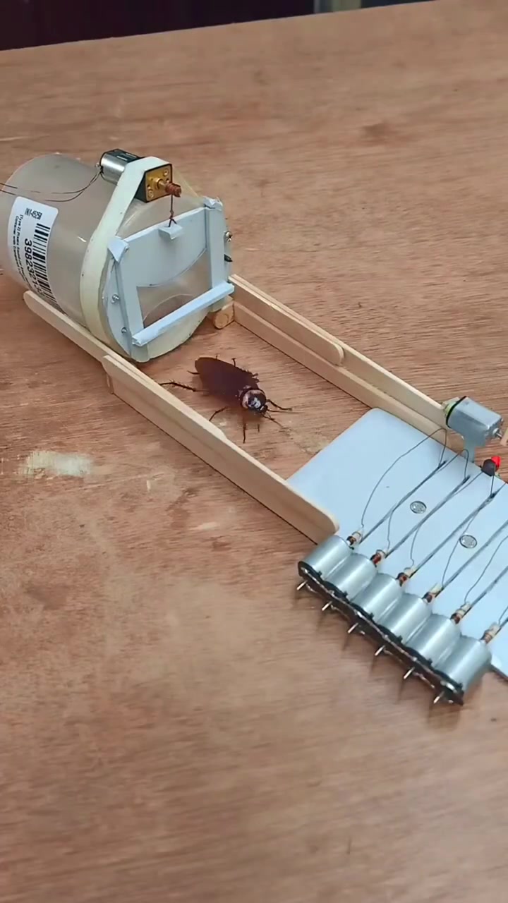 蟑螂按摩机