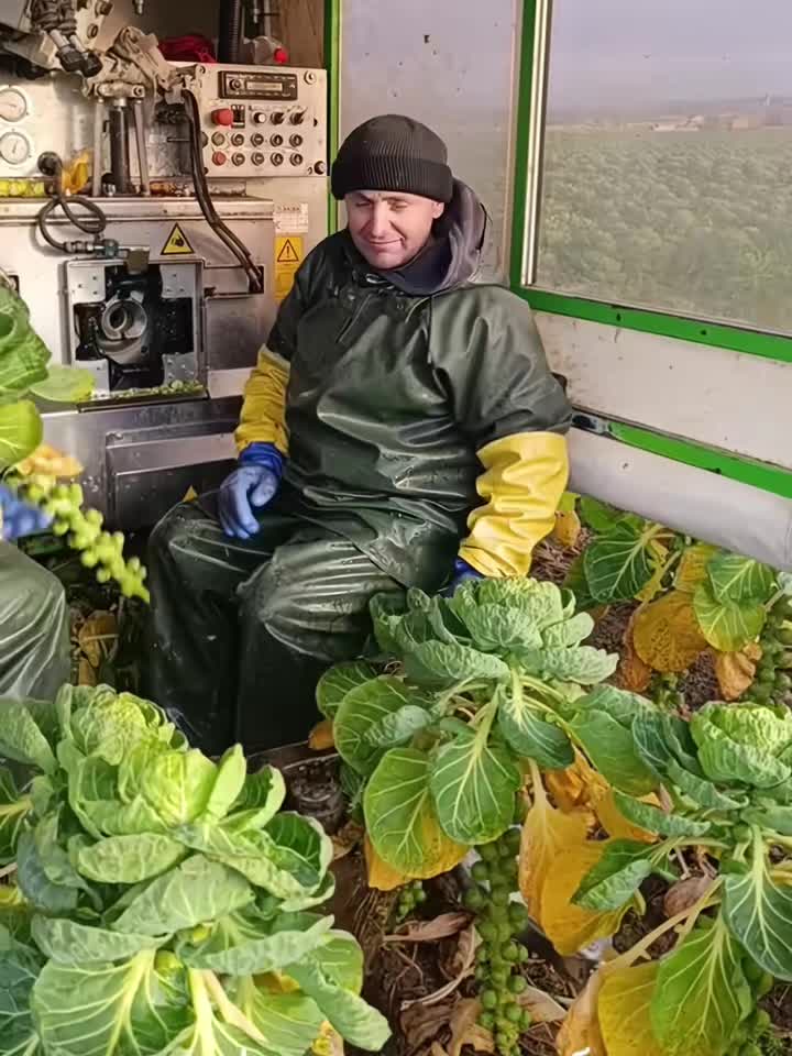 这样干活是真舒服啊！