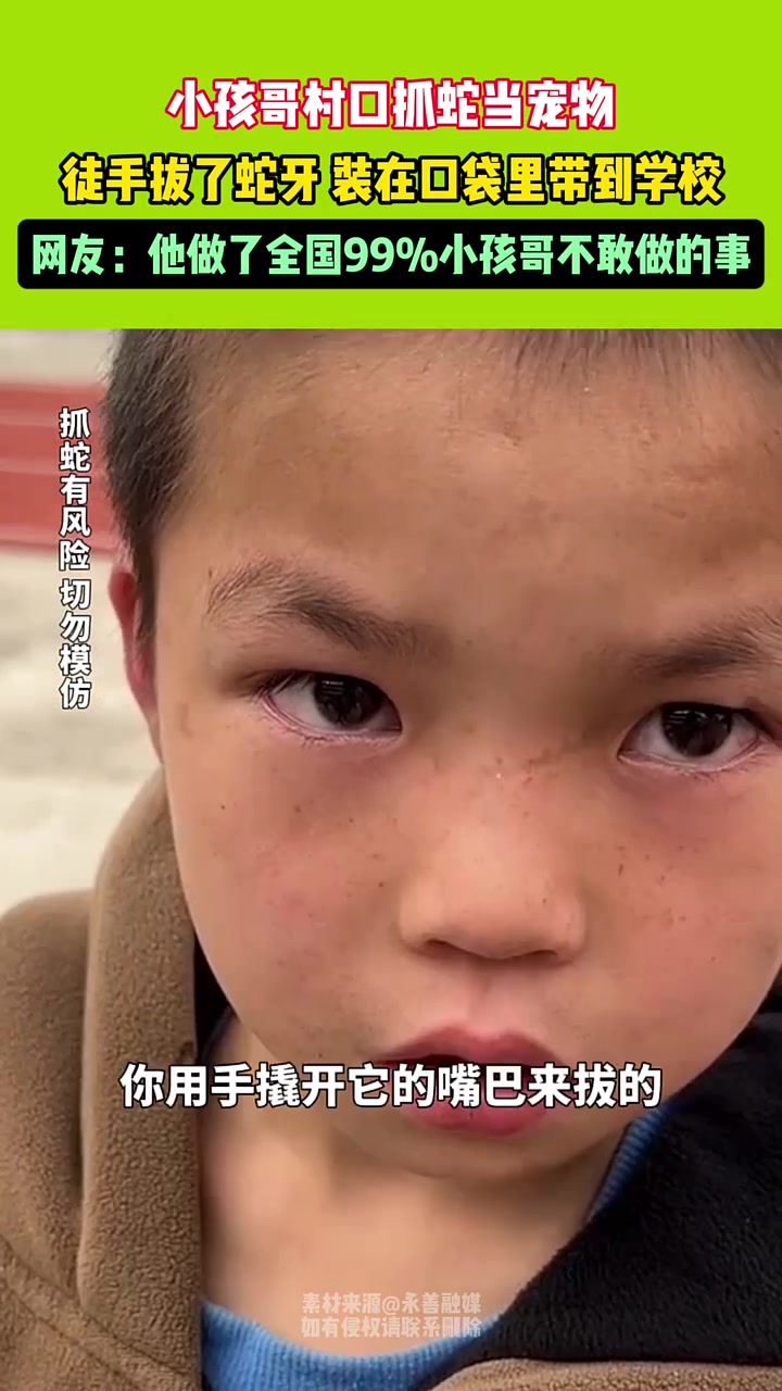 小孩哥村口抓蛇当宠物，徒手拔了蛇牙装在口袋里带到学校！