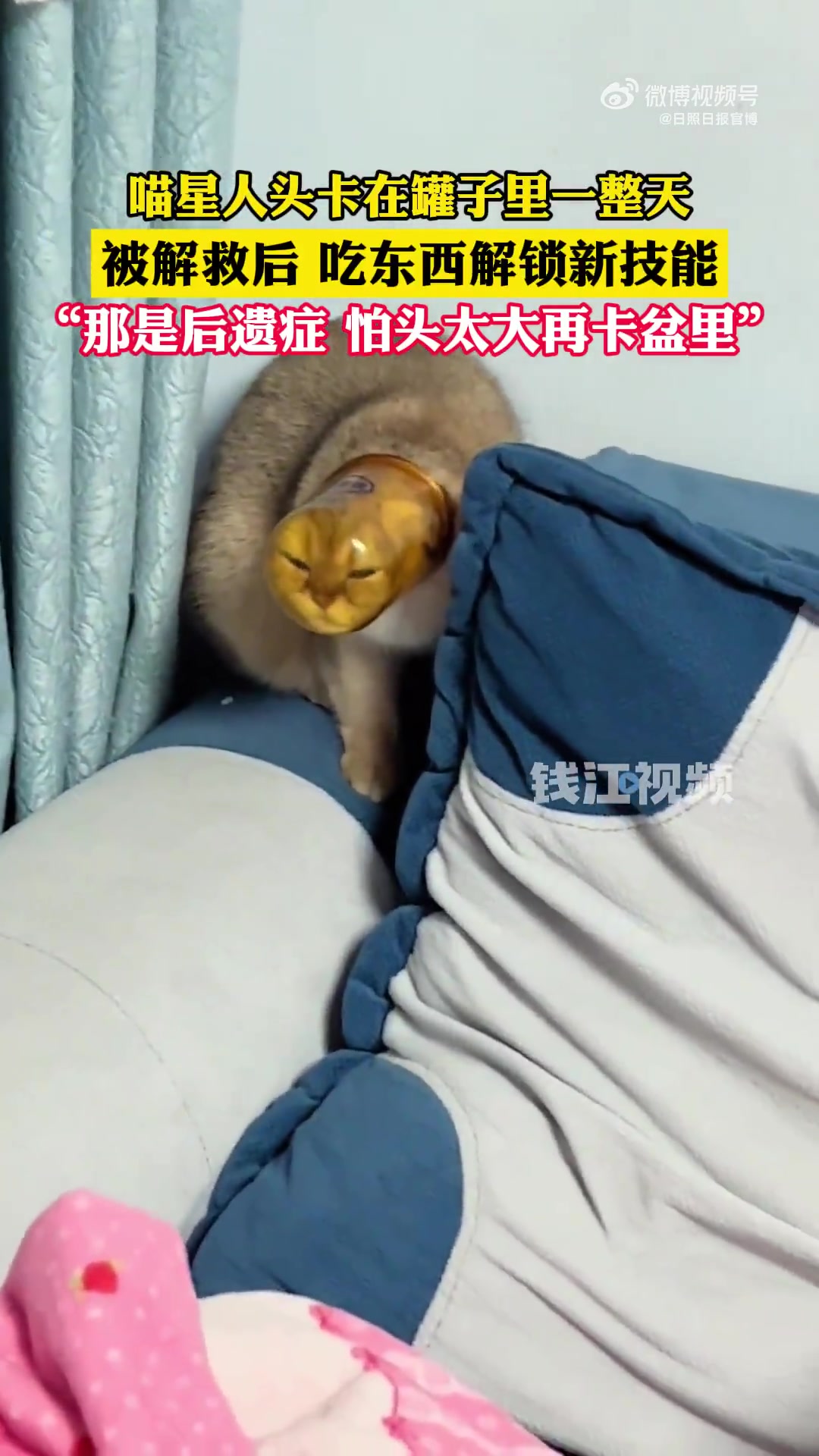 被卡一天也太夸张了！真卡一天早就窒息了！