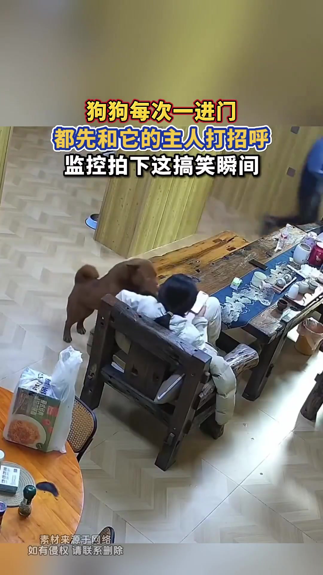 oi！人，你回来啦！