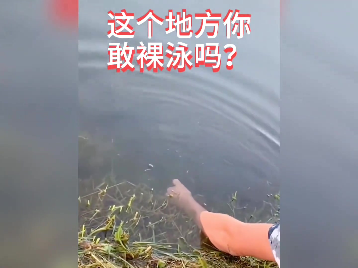 这片水域，一身装备的资深钓鱼佬看了都流泪！！！