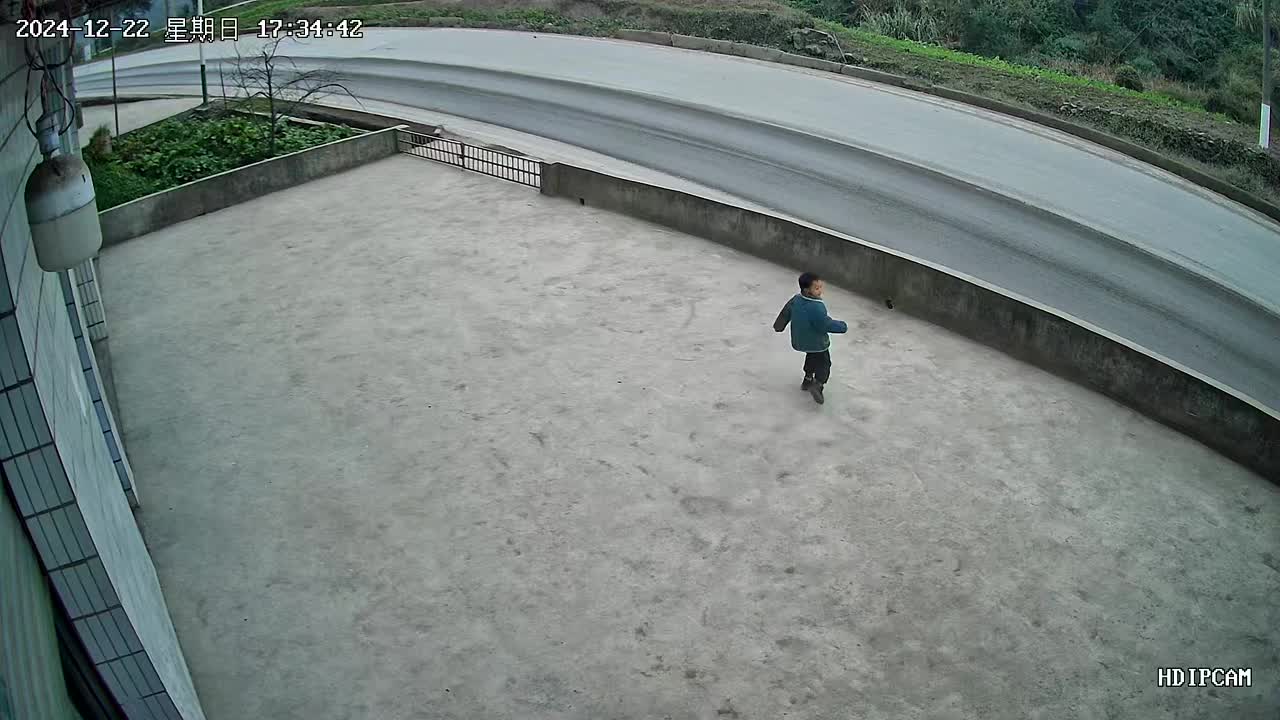看来在路边的房子还是挺危险的