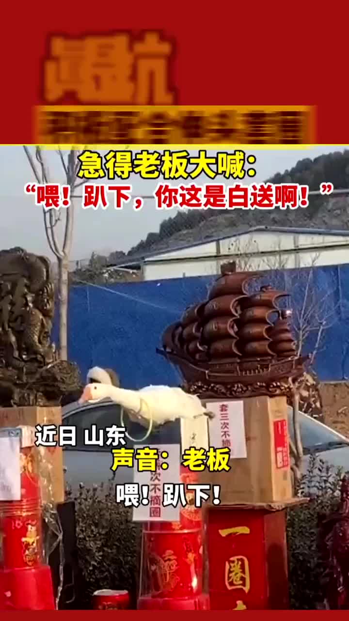 它不想和你混了！
